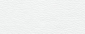 Ecopiel